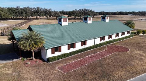 Tiny photo for 2153 SE Highway 41, Morriston, FL 32668 (MLS # OM691158)
