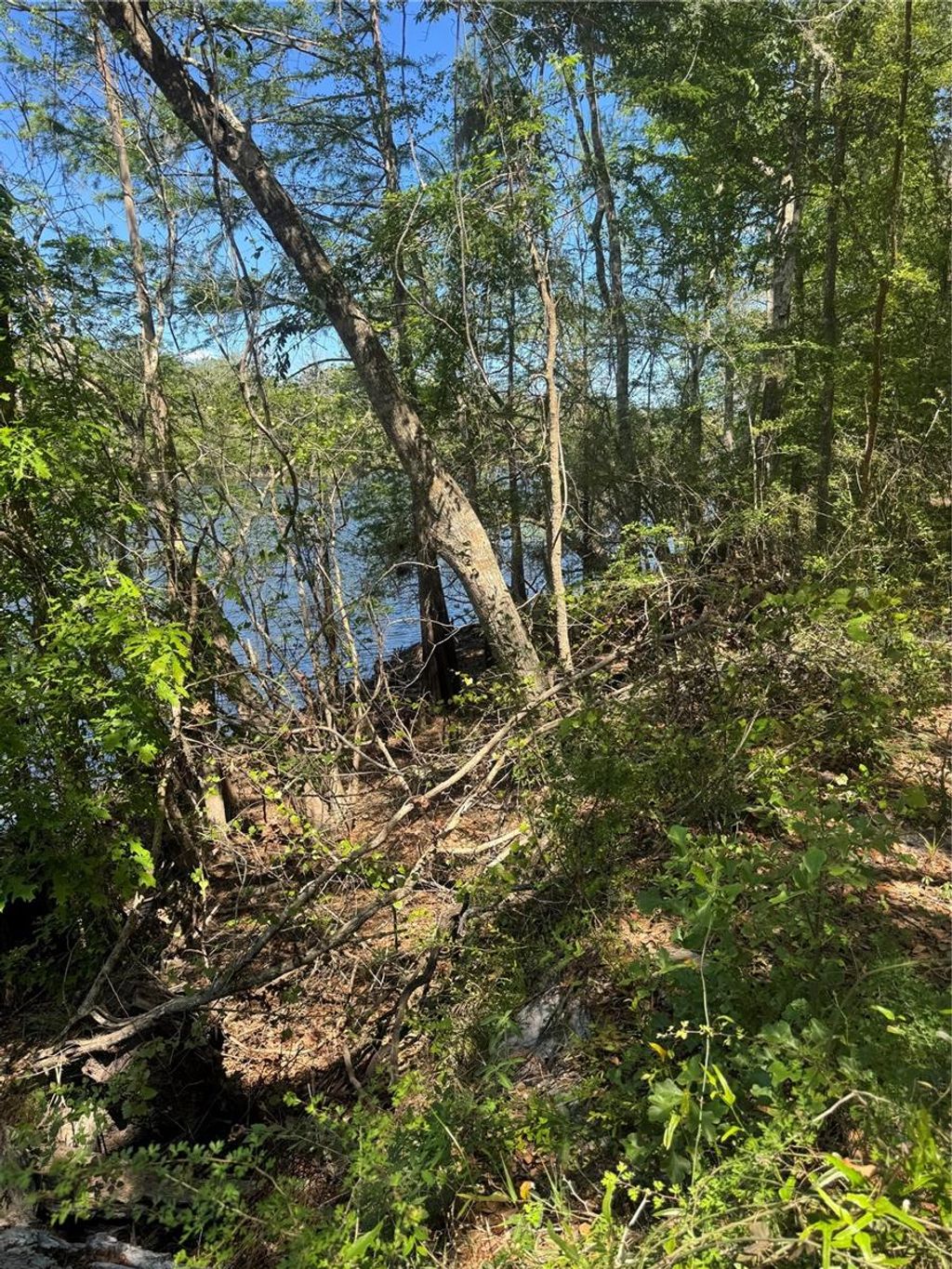 Photo of Tbd SW 25 Place, Bell, FL 32619 (MLS # GC539387)