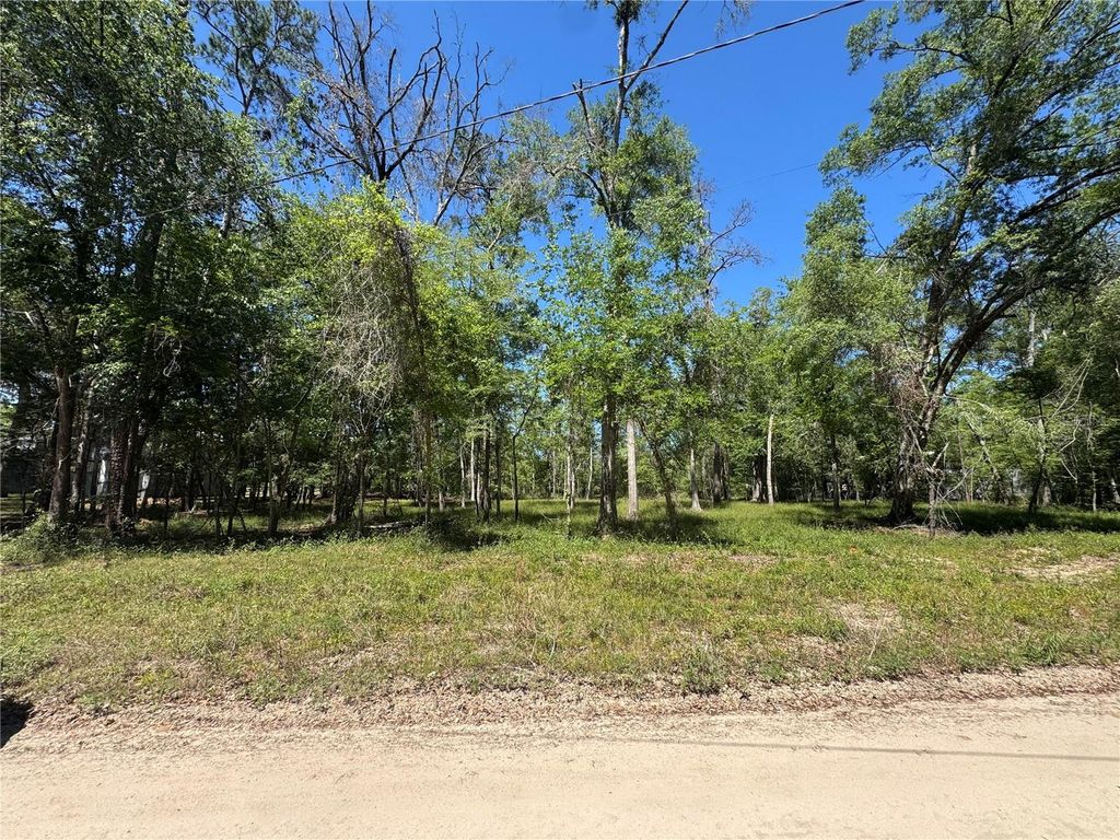 Photo of Tbd SW 25 Place, Bell, FL 32619 (MLS # GC539387)