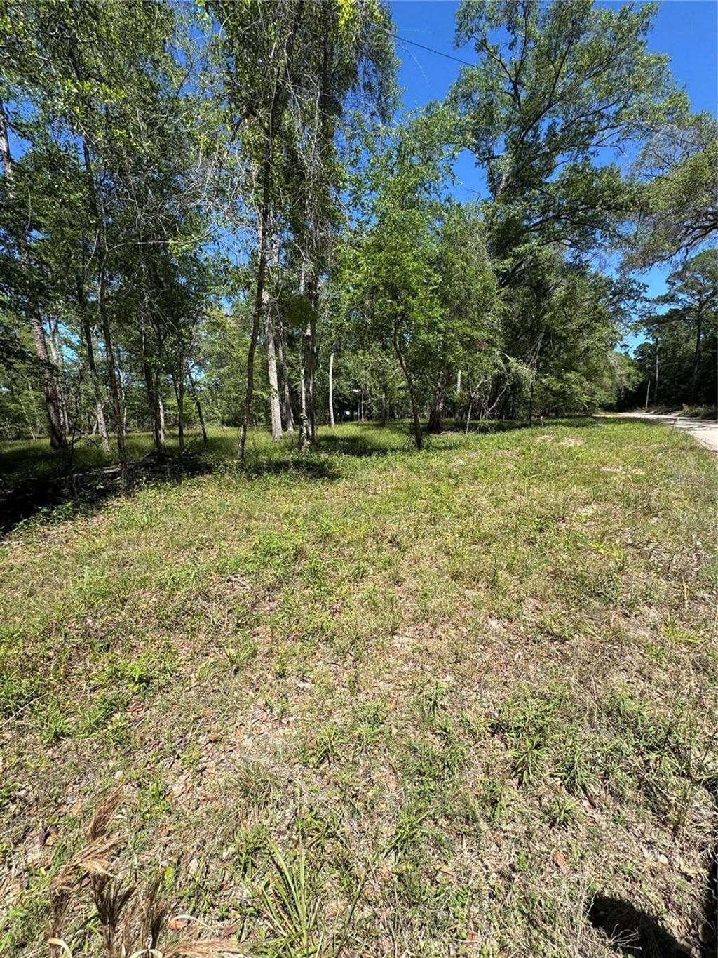 Photo of Tbd SW 25 Place, Bell, FL 32619 (MLS # GC539387)
