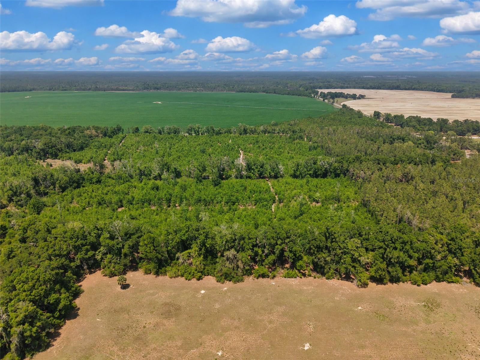 NOT IN SUBDIVISION - Land