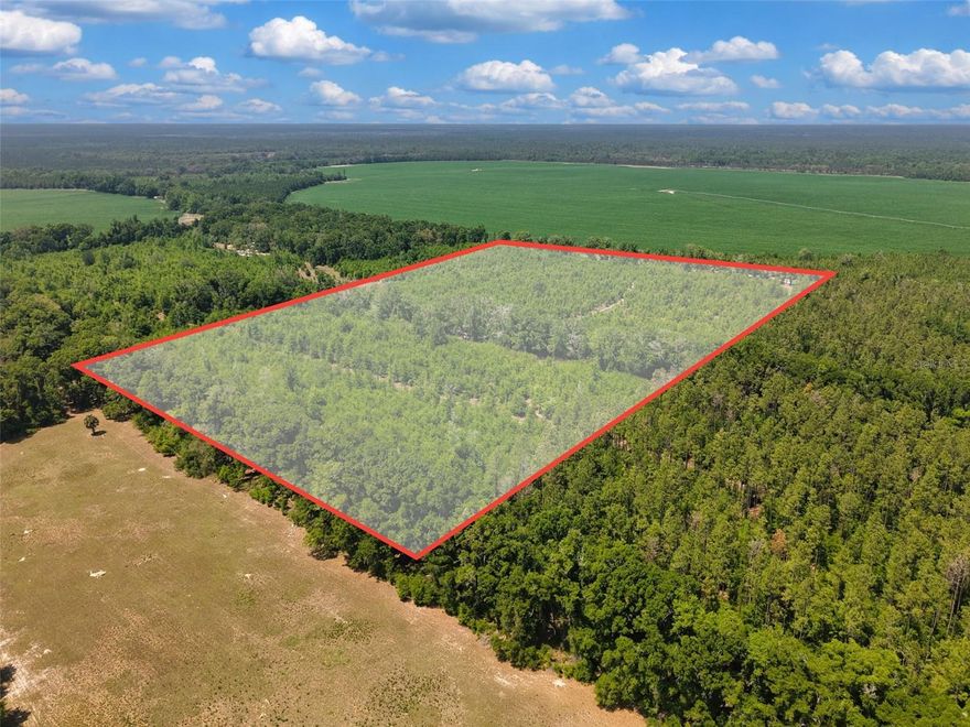 Discover 20 ACRES OF North Florida countryside in Branford, just south of the Lafayette County line.  Wake every morning to the sounds of nature and build your dream around this property that is truly a blank slate for your vision. Tucked along a quiet country road with minimal traffic and located only 600 feet from paved road 349, it offers both seclusion and convenience. This property is completely high and dry—no flood zone and features a nice mix of both new and established old-growth hardwoods and established trails that make it easy to explore on foot or by ATV.  With excellent cover and surrounded largely by expansive farmland, this area provides a natural food source for wildlife, making it a great option for hunting. Zoned Ag so your HORSES are WELCOME! No HOA or building restrictions—create exactly what you want—whether that’s a custom home, a mini farm, or a private getaway. SHAPE YOUR LIFESTYLE AROUND THE LAND AND ENJOY THE RHYTHM OF COUNTRY LIVING.
