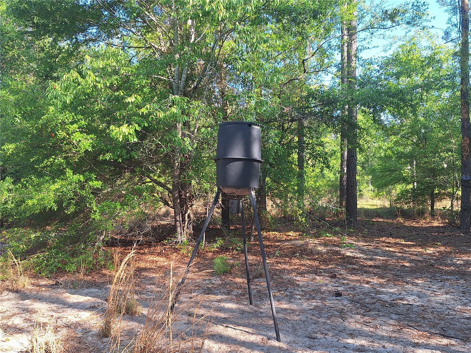 NOT IN SUBDIVISION - Land