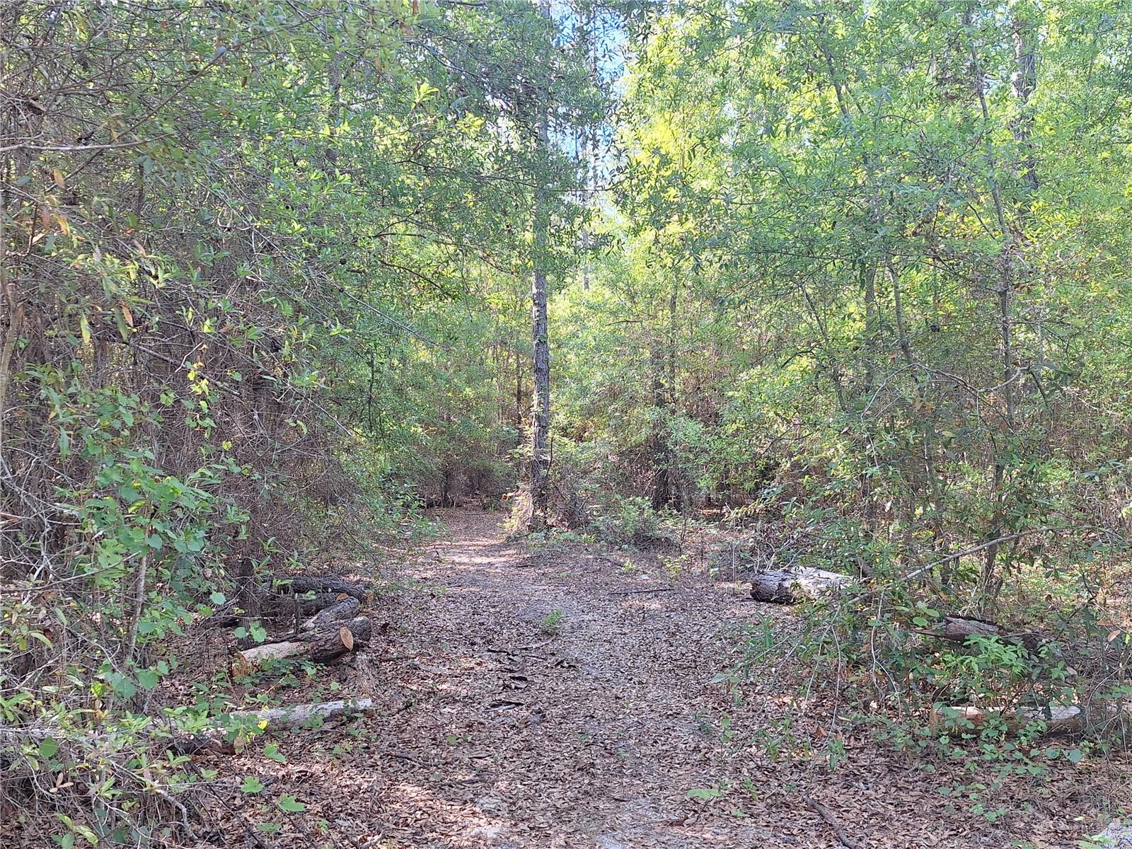 NOT IN SUBDIVISION - Land