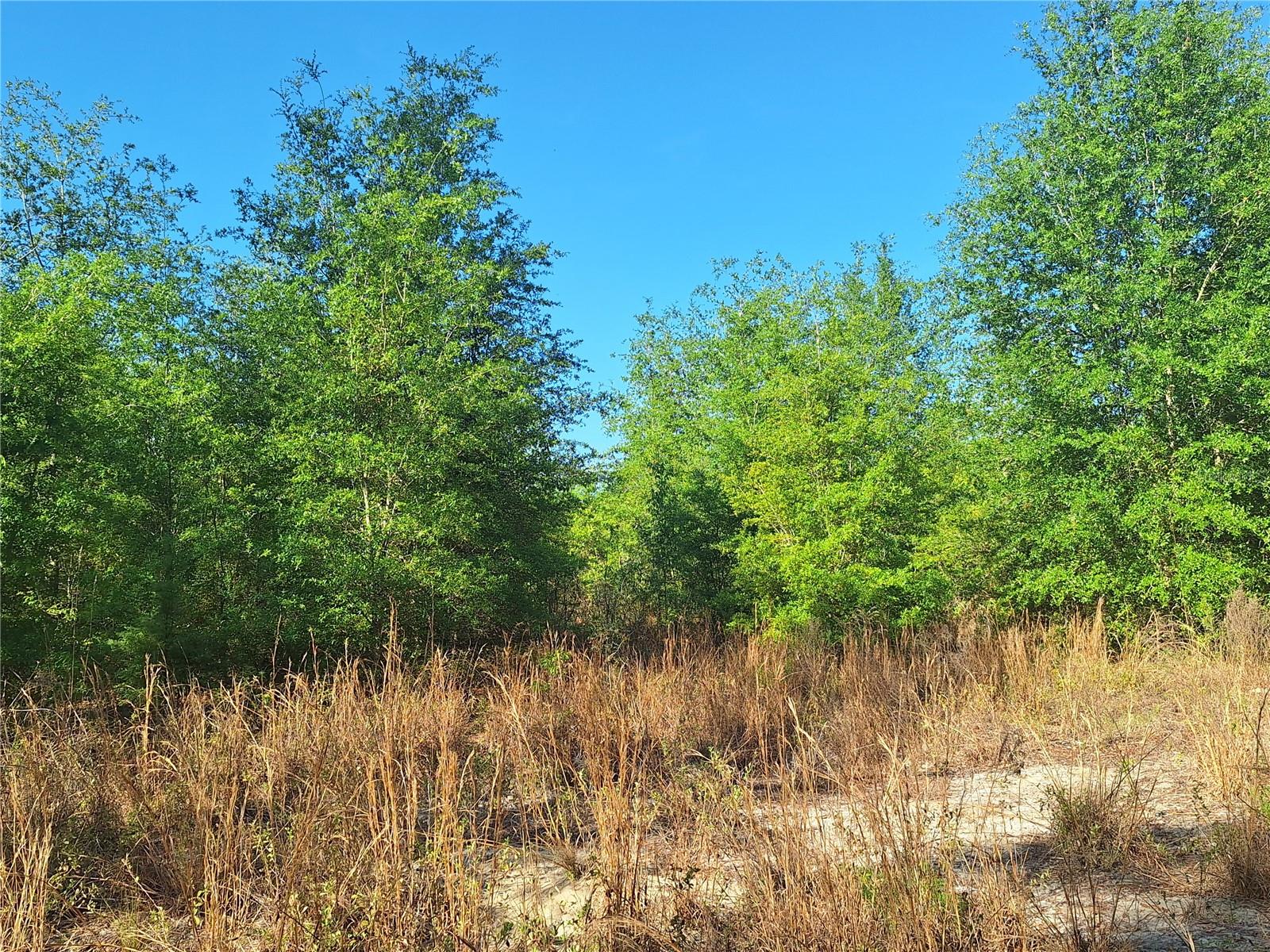 NOT IN SUBDIVISION - Land