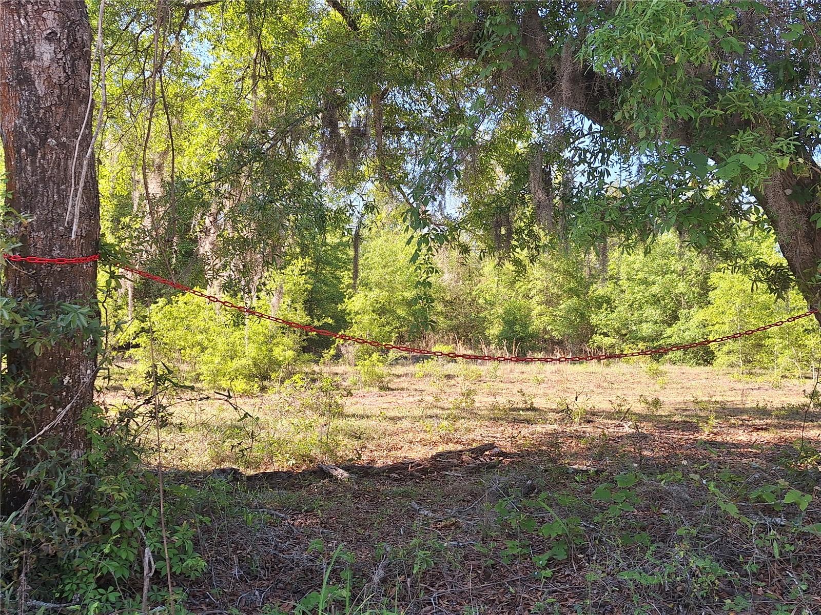 NOT IN SUBDIVISION - Land