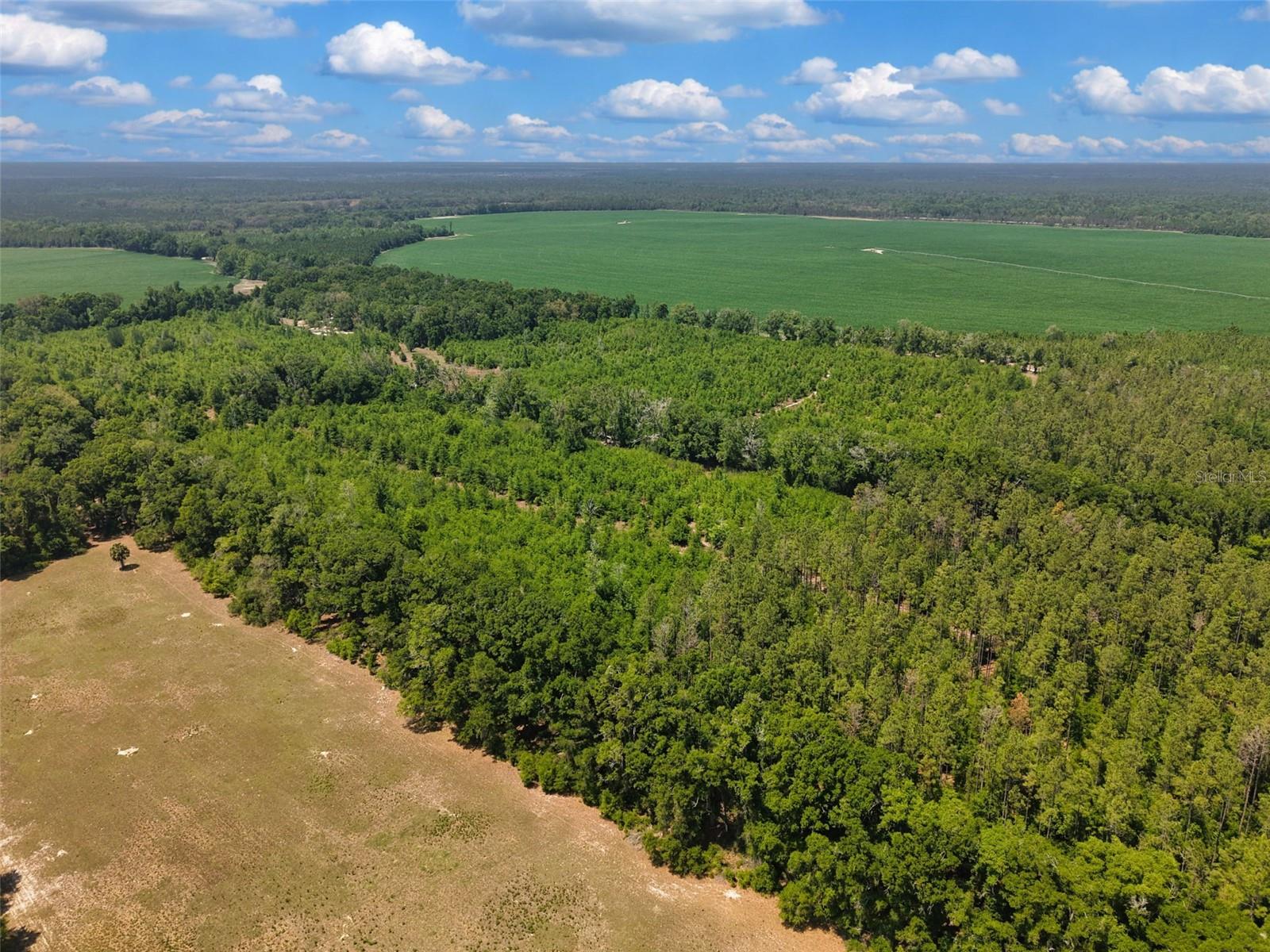 NOT IN SUBDIVISION - Land