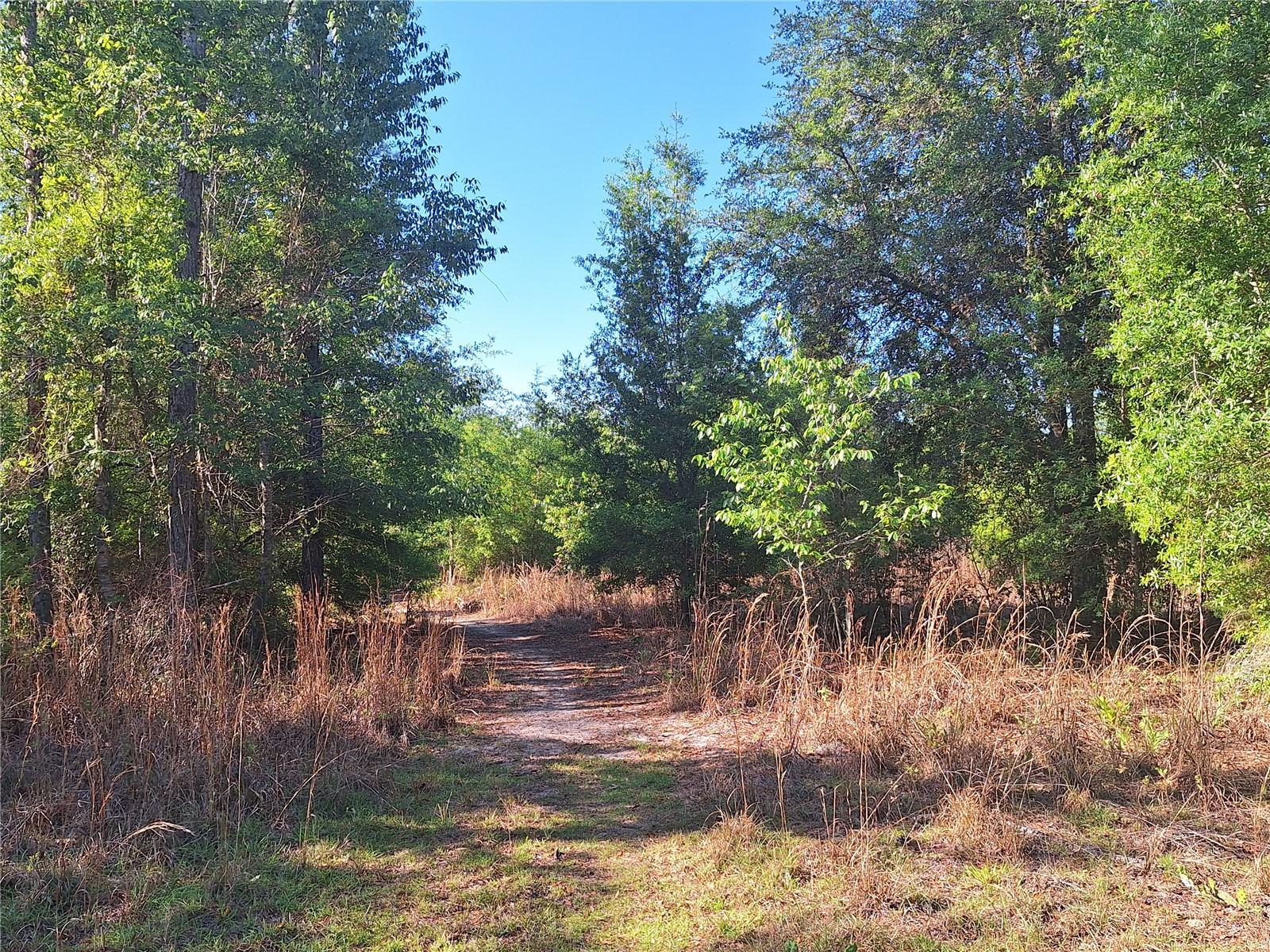 NOT IN SUBDIVISION - Land