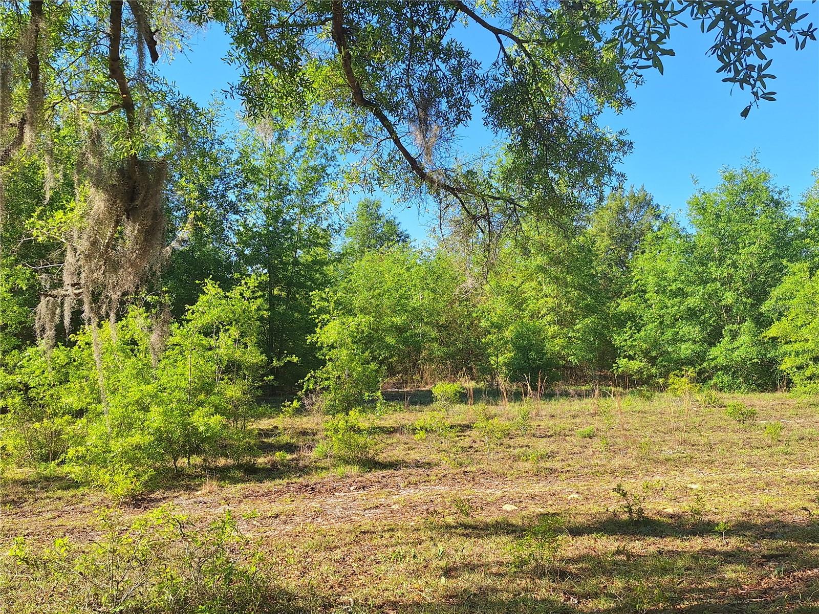 NOT IN SUBDIVISION - Land