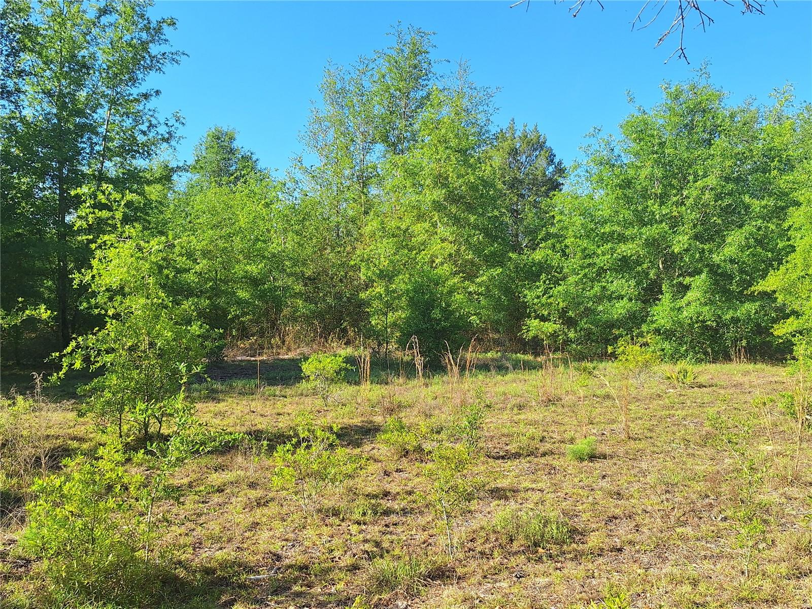 NOT IN SUBDIVISION - Land