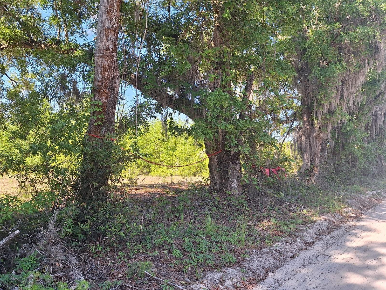 NOT IN SUBDIVISION - Land