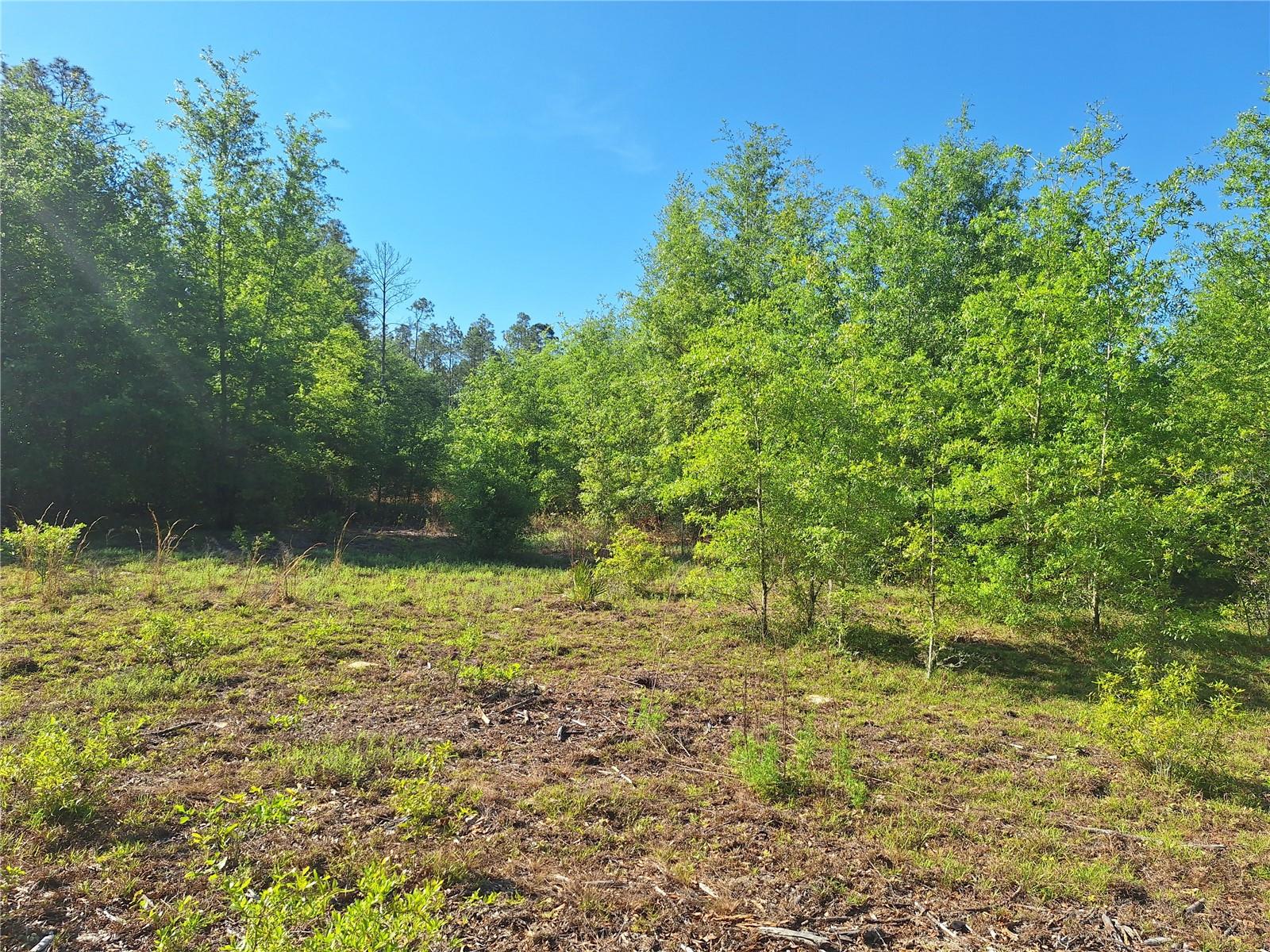 NOT IN SUBDIVISION - Land