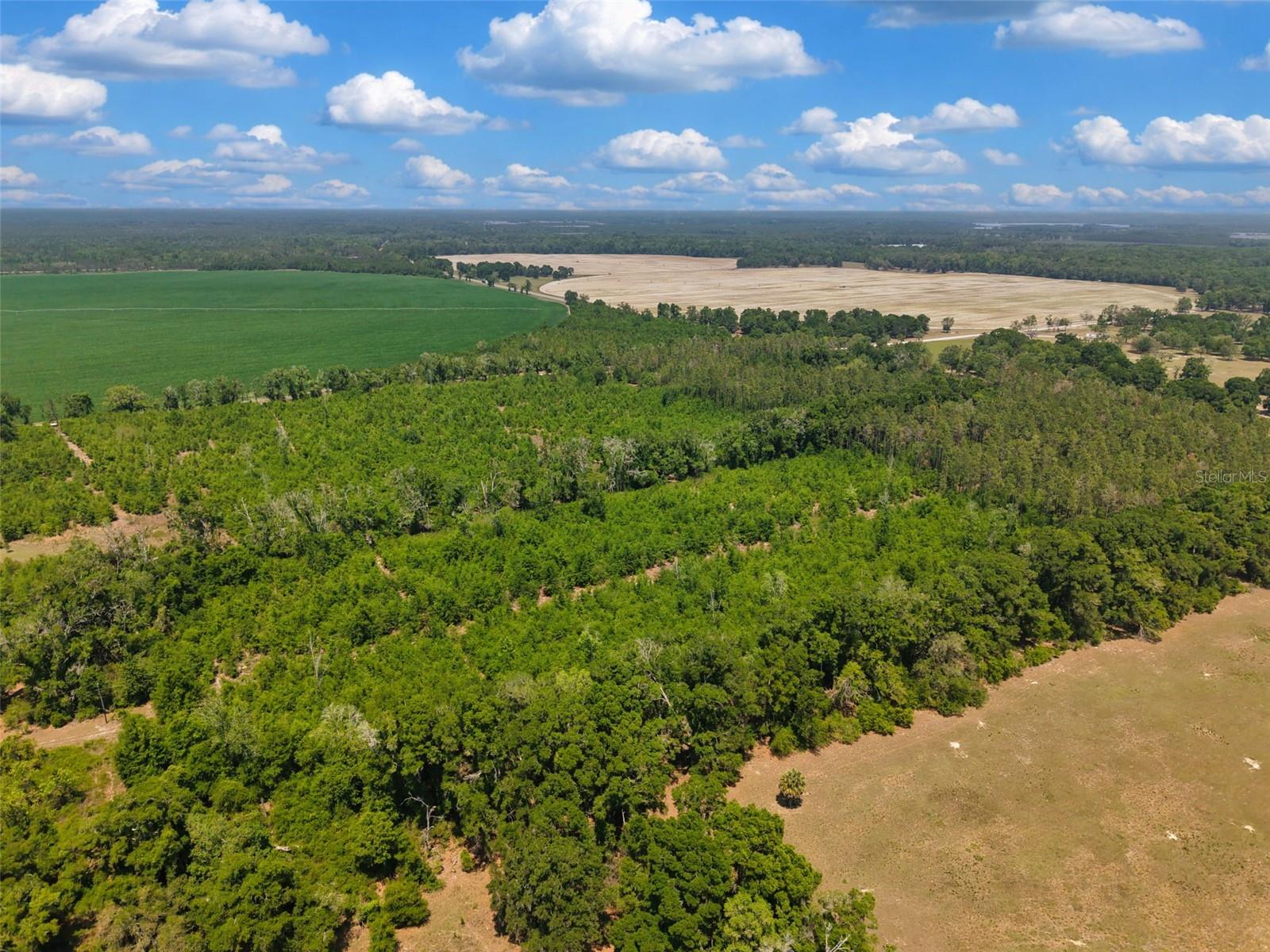 NOT IN SUBDIVISION - Land