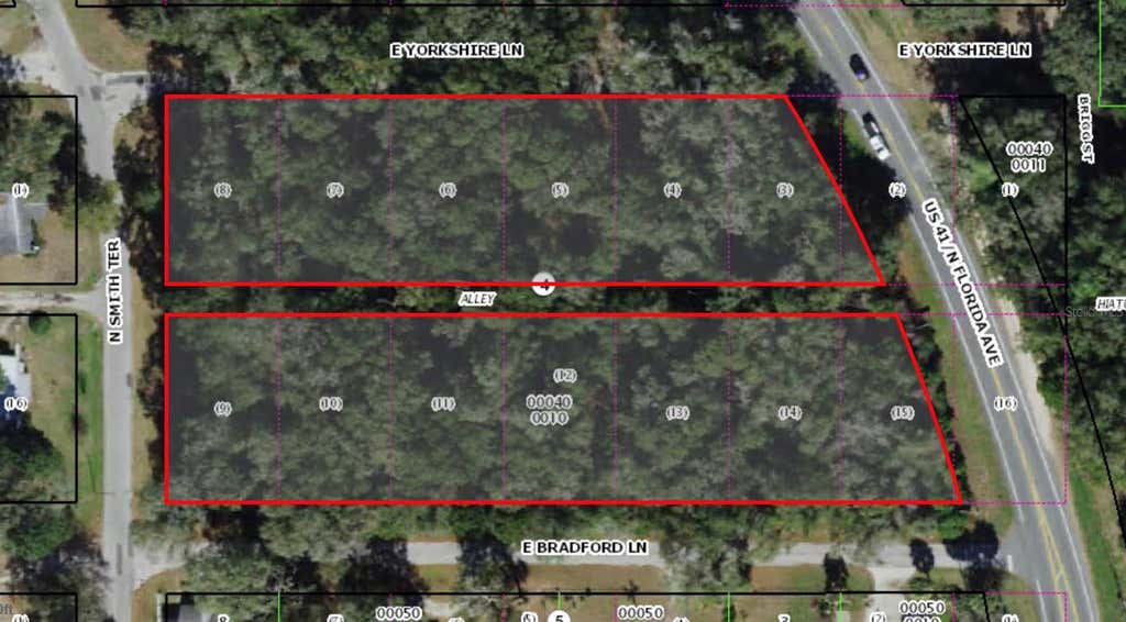 Photo of 7188 N Florida Avenue, Hernando, FL 34442 (MLS # O6424033)