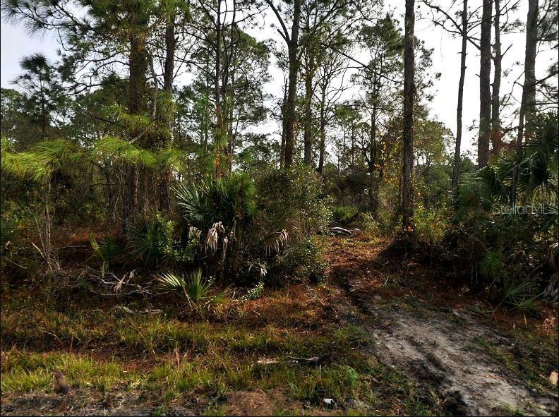 PORT CHARLOTTE SUB 27 - Land