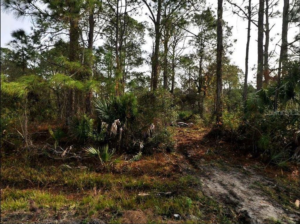 Photo of Starfish Avenue, North Port, FL 34291 (MLS # O6230816)