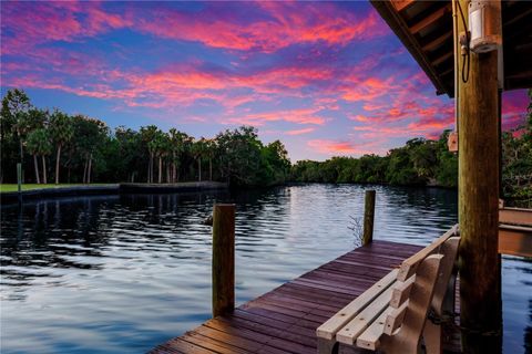 Photo of 11526 River Country Drive, Riverview, FL 33569 (MLS # TB8433306)