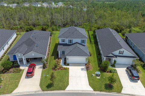 A home in PALM COAST