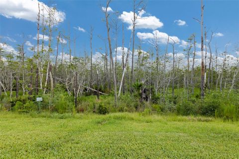 A home in PALM COAST