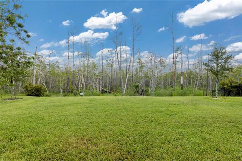 A home in PALM COAST