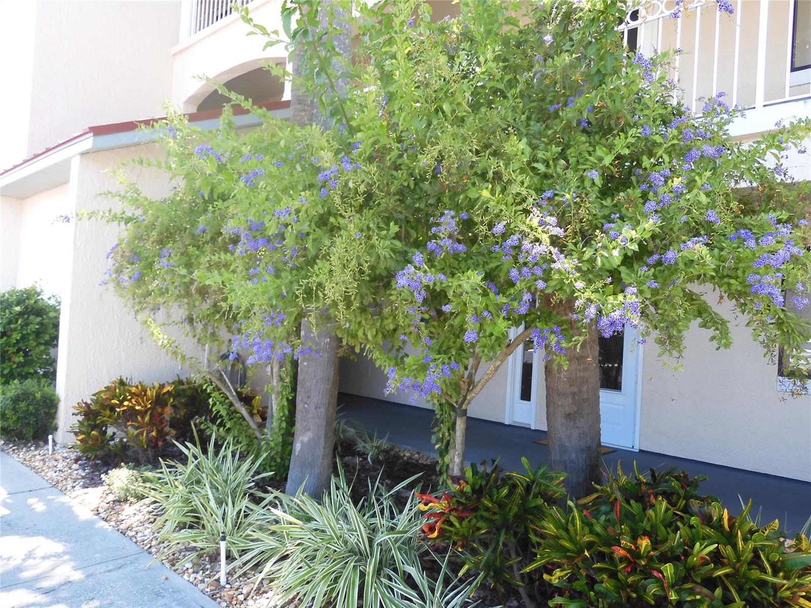 Bouchelle Island Condo - Residential