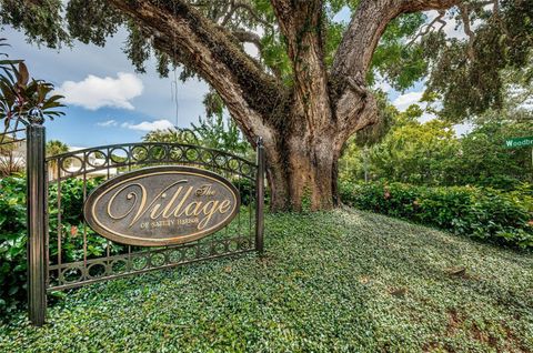 A home in SAFETY HARBOR