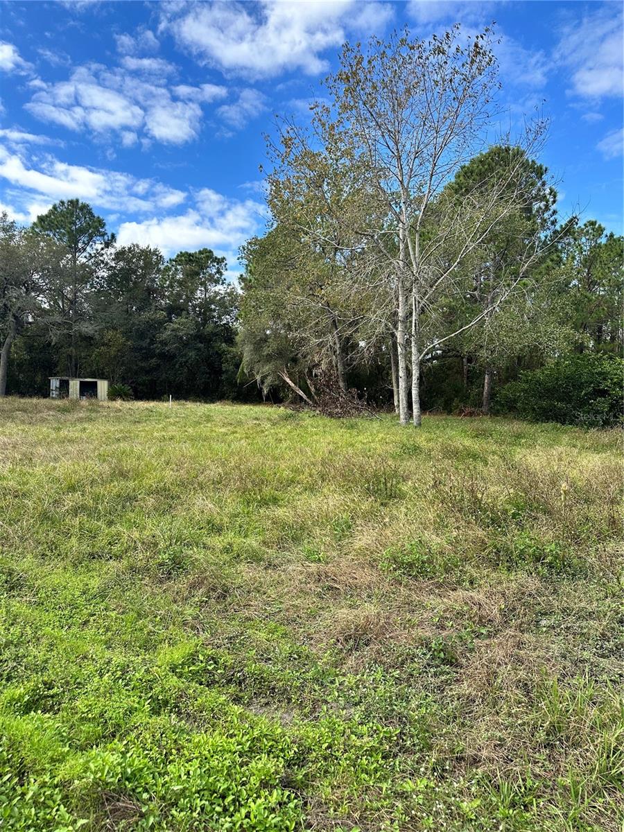 Vacant land to build your dream home! Seller may consider financing with terms. .66 acre, cleared, Impact Fees already paid, septic, and well, utilities available. All the hard work has been done for you! Enjoy privacy in a rural setting. Previous structure removed. Several Sheds still on property. All measurements are approximate, and Buyer is to complete normal due diligence.