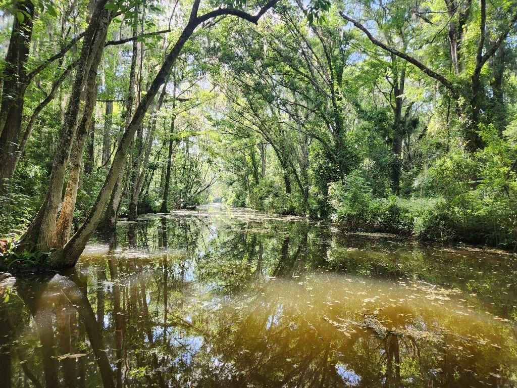 Photo of Pine Ridge Road #5, Leesburg, FL 34748 (MLS # TB8470477)