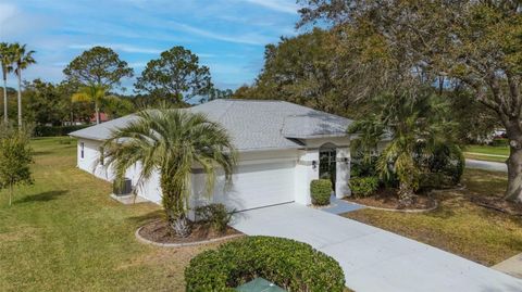 A home in PALM COAST