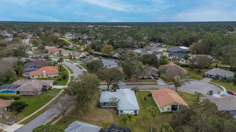 A home in PALM COAST