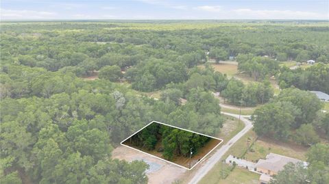 Photo of SW 131st Terrace, Dunnellon, FL 34432 (MLS # OM725124)