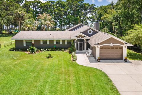 Tiny photo for 29205 S Corley Island Road, Leesburg, FL 34748 (MLS # G5112978)