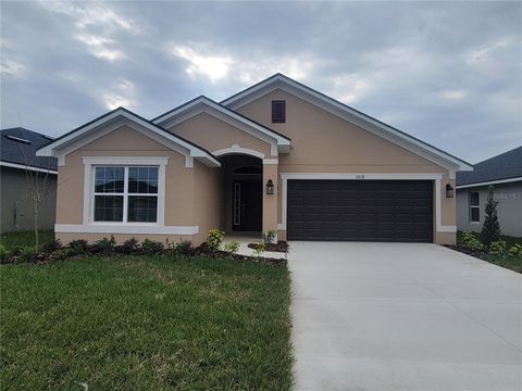 A home in DADE CITY