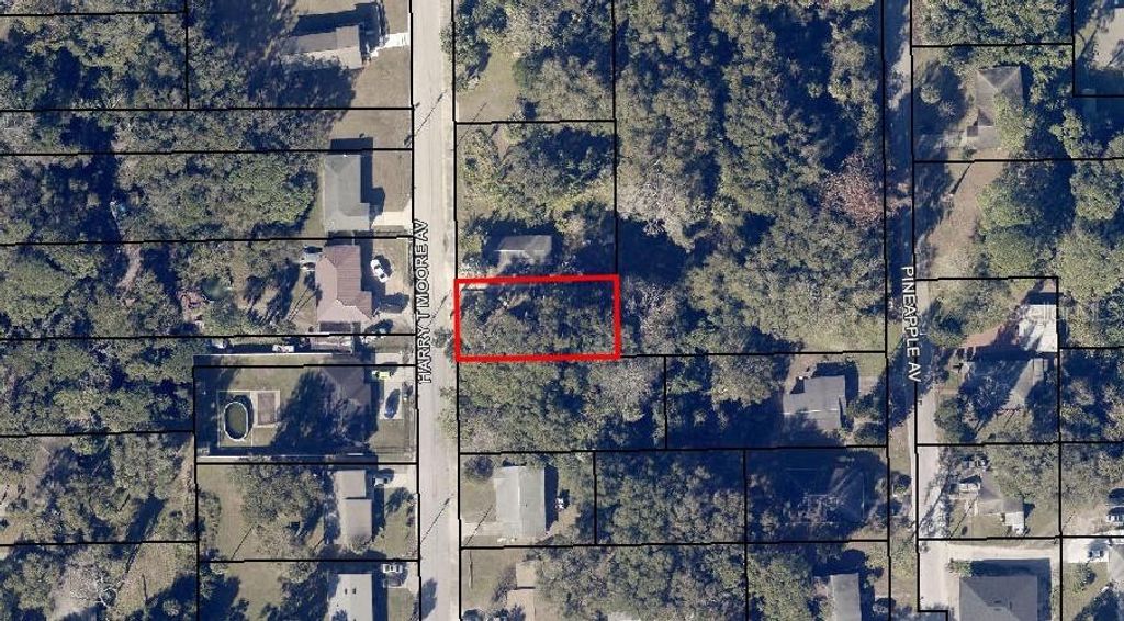 Photo of 2735 Harry T Moore Avenue, Mims, FL 32754 (MLS # O6371147)