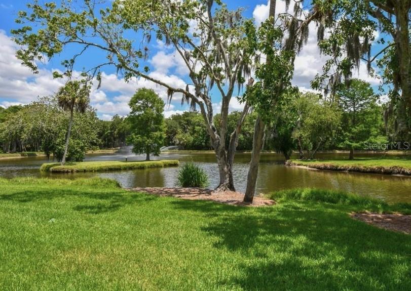 PINEBROOK HOLLOW - Residential