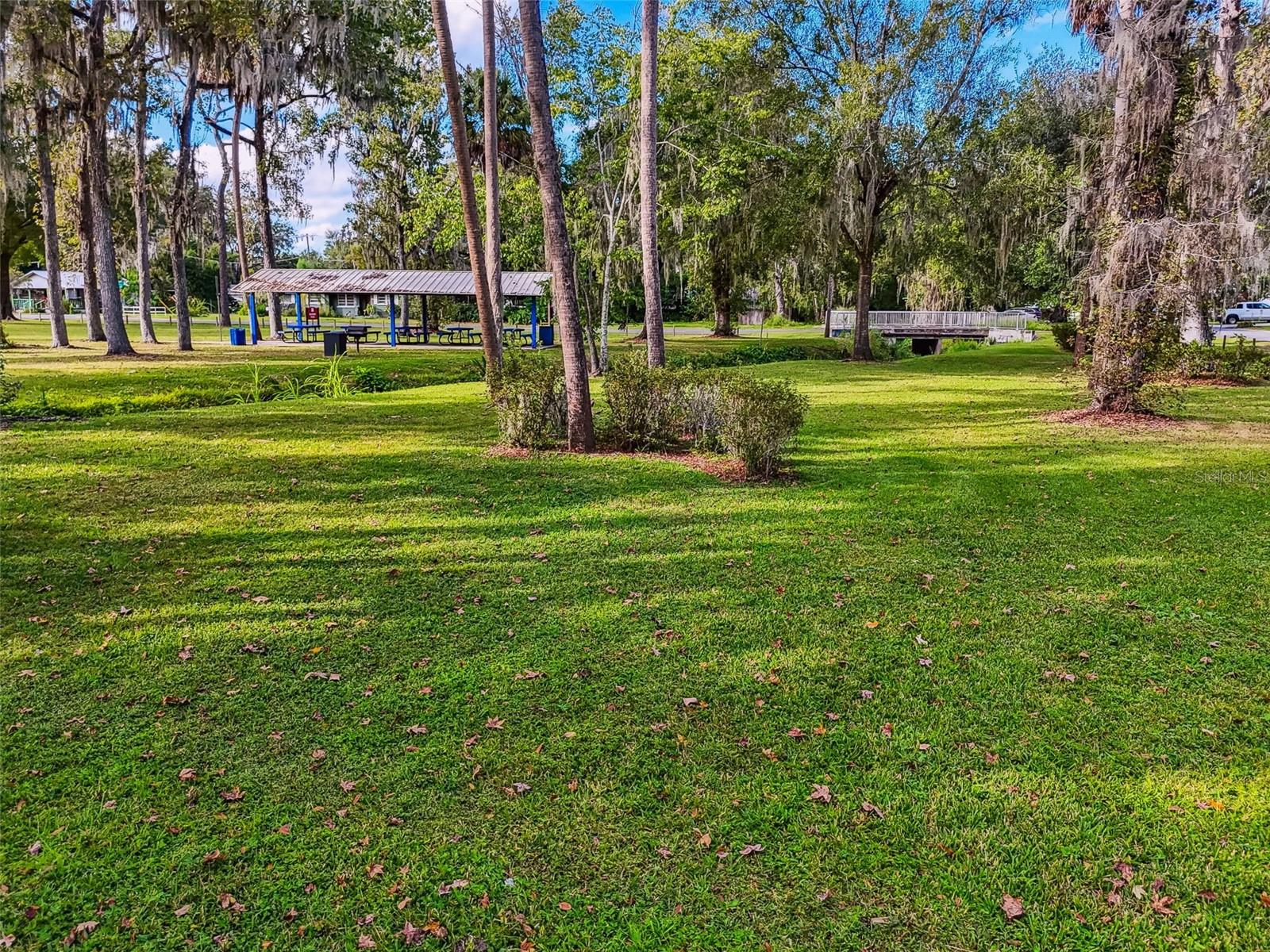 WASHINGTON PARK - Residential