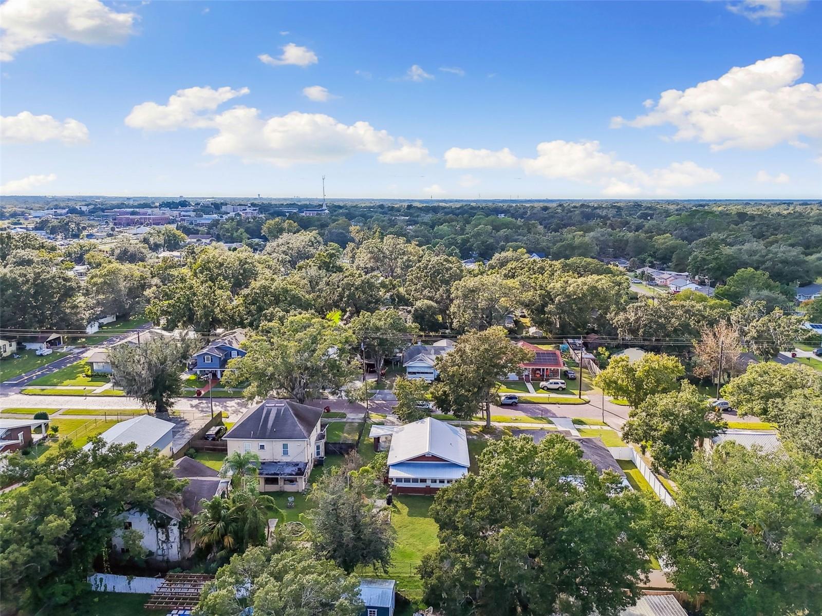 WASHINGTON PARK - Residential