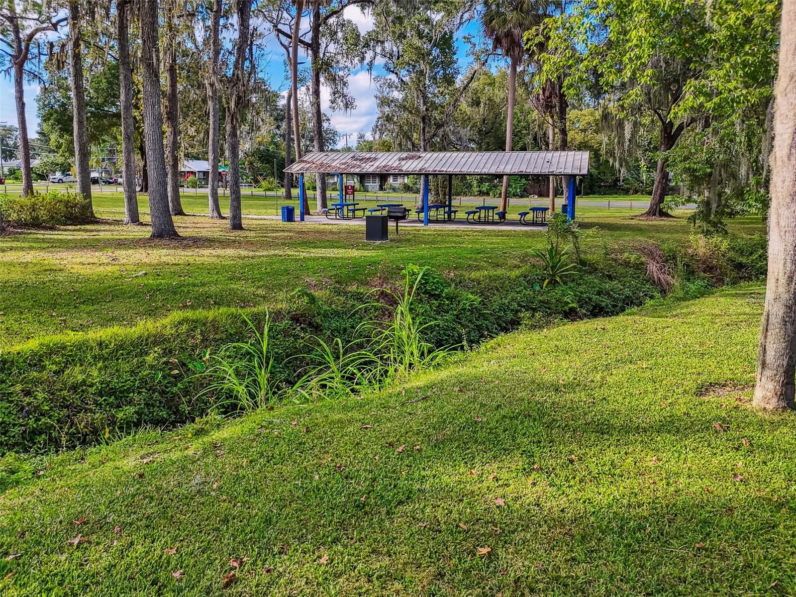 WASHINGTON PARK - Residential