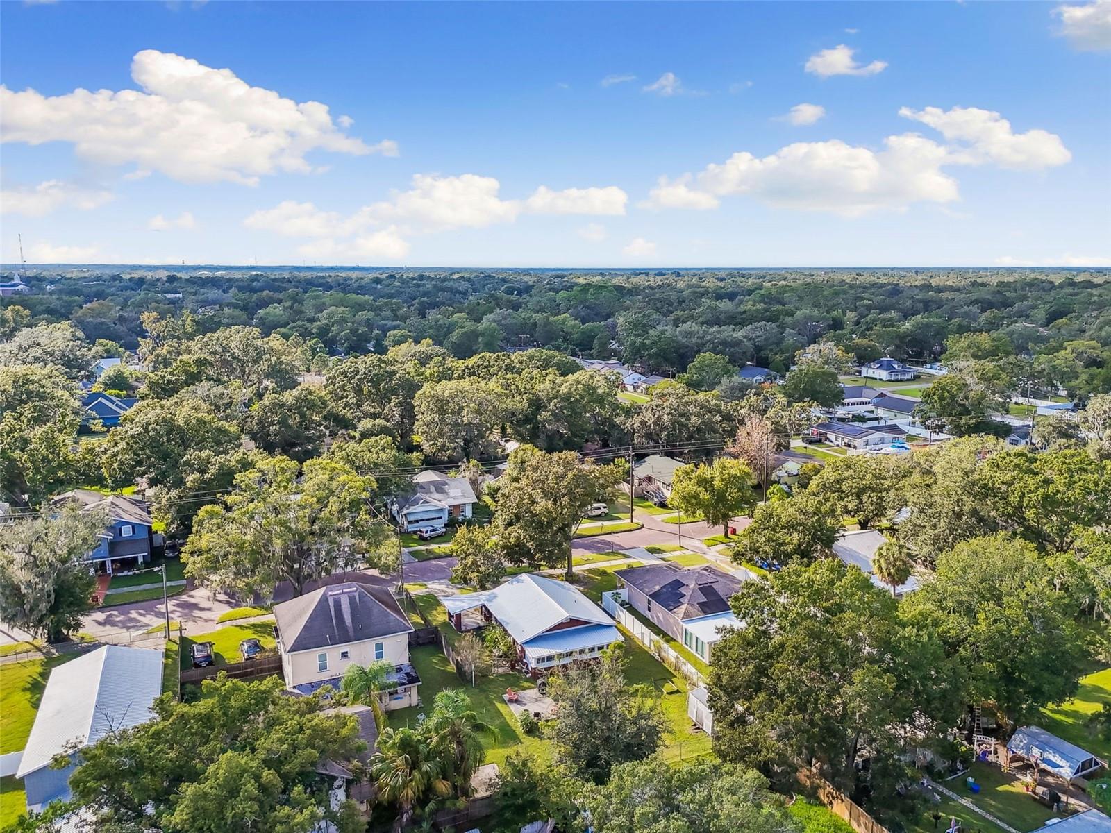 WASHINGTON PARK - Residential