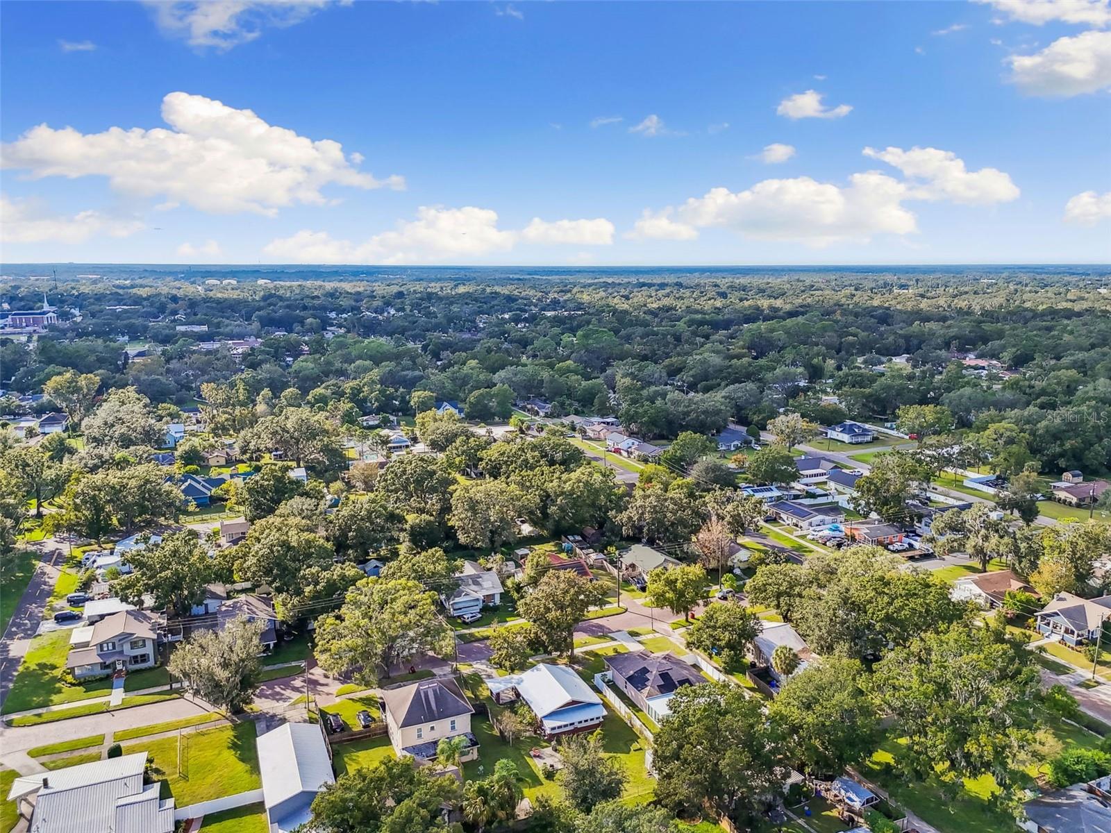 WASHINGTON PARK - Residential