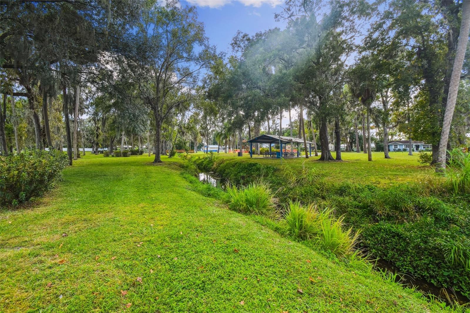 WASHINGTON PARK - Residential