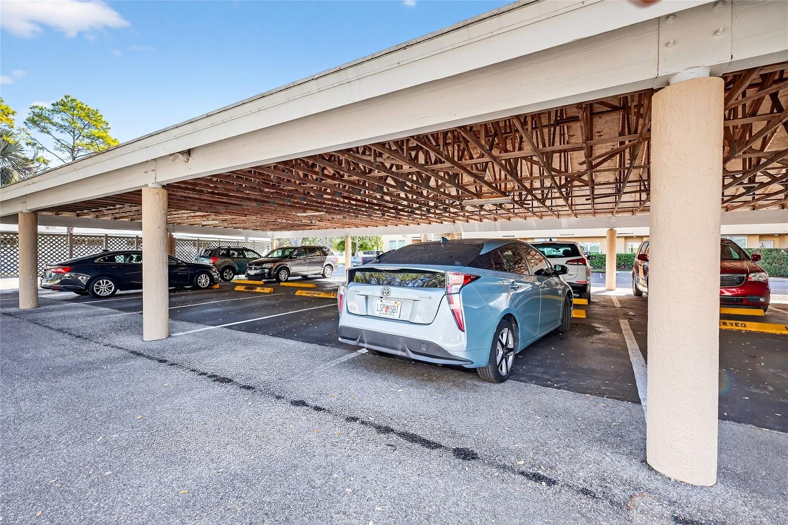 THE WOODS AT PINEBROOK - Residential