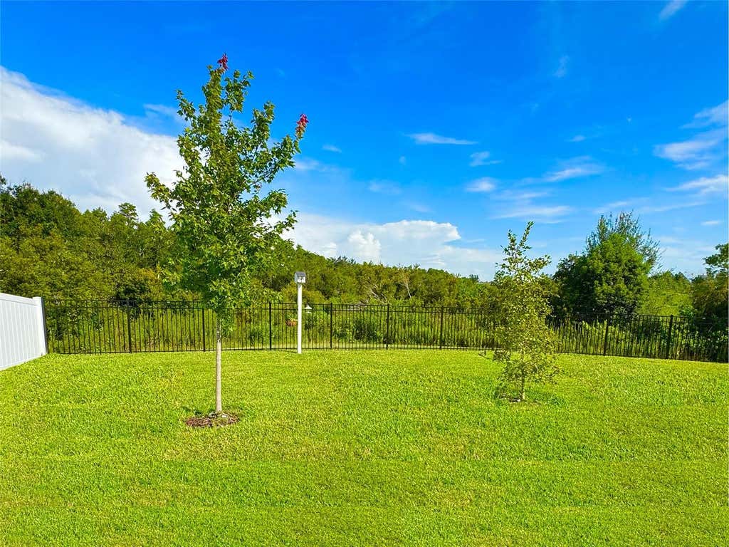 Photo of 5718 Spivey Court, Wesley Chapel, FL 33545 (MLS # O6437132)