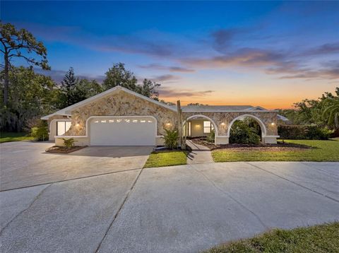 6910 DAUBON COURT NEW PORT RICHEY FL 34655