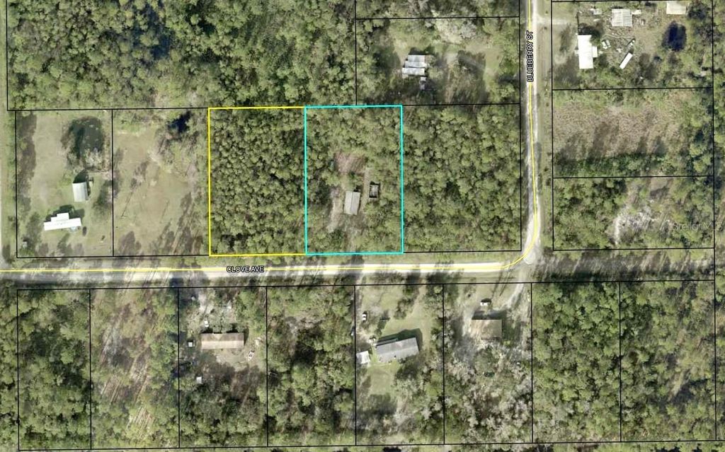 Photo of 4374 Clove Avenue, Bunnell, FL 32110 (MLS # FC314776)