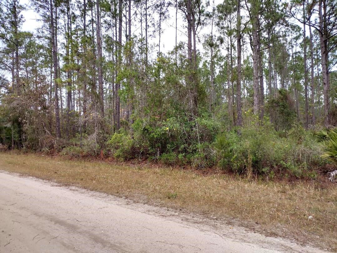 DAYTONA NORTH SUB - Land