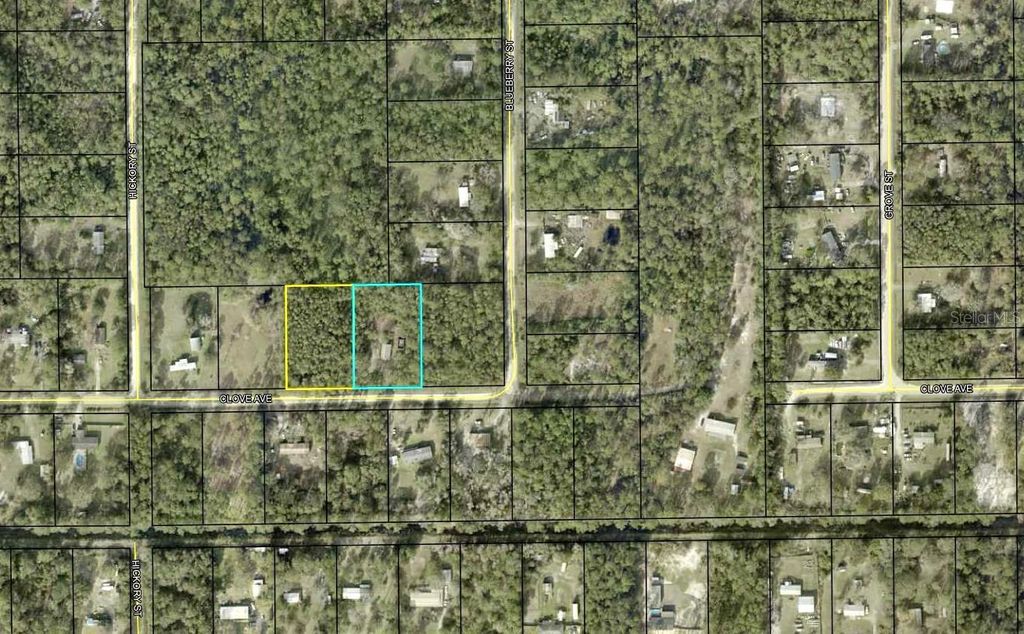 Photo of 4374 Clove Avenue, Bunnell, FL 32110 (MLS # FC314776)