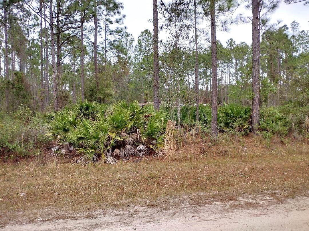 DAYTONA NORTH SUB - Land