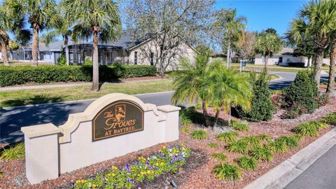 A home in TAVARES