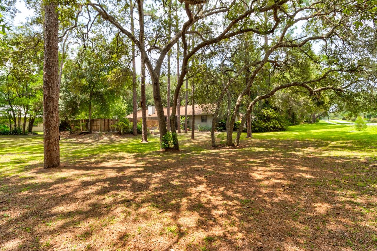 Long Leaf Plantation Unit 01 - Residential